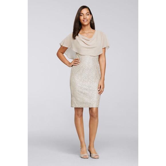 JESSICA HOWARD Short Glitter Lace Dress With Chiffon Capelet In Champagne Sz 12 - Picture 3 of 15